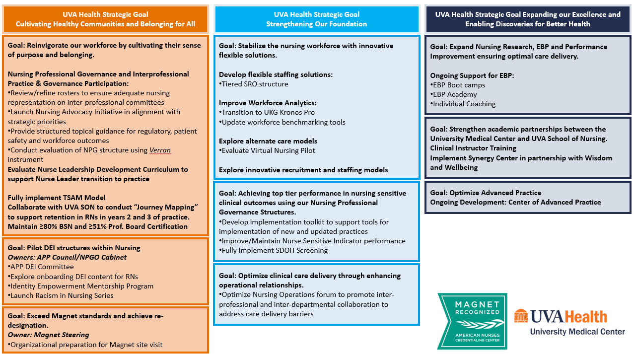 Nursing Strategic Contributions Details 2025