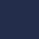 APP Aspire Program